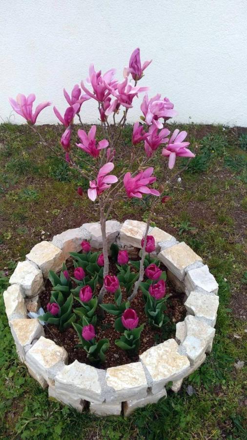 Palme Βίλα Πόρετς Εξωτερικό φωτογραφία