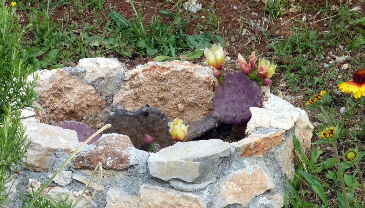 Palme Βίλα Πόρετς Εξωτερικό φωτογραφία
