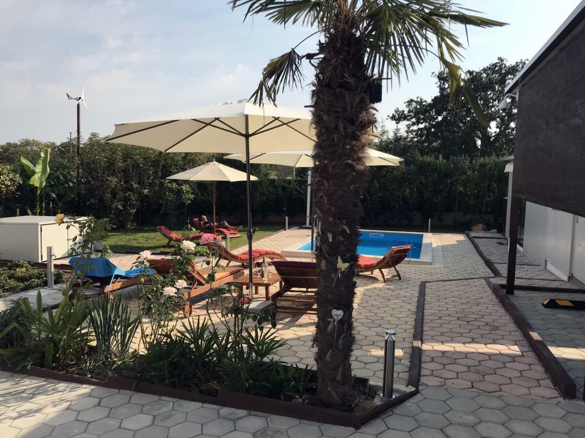Palme Βίλα Πόρετς Εξωτερικό φωτογραφία
